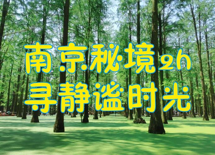 南京秘境2h,寻静谧时光